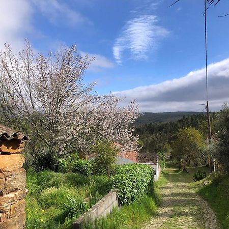 House Of The Three Marias Bed and Breakfast Pedrogao Grande Εξωτερικό φωτογραφία
