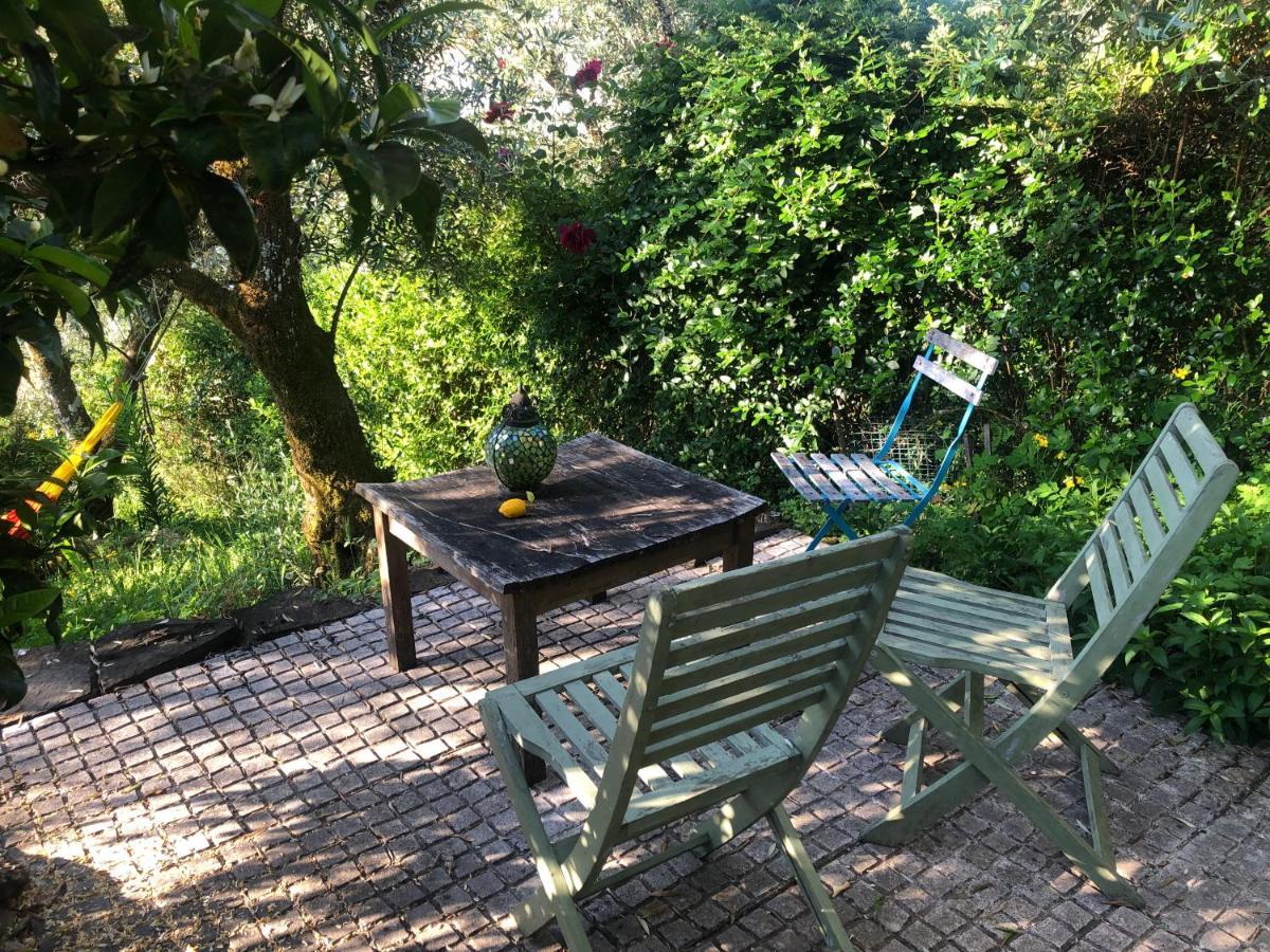 House Of The Three Marias Bed and Breakfast Pedrogao Grande Εξωτερικό φωτογραφία