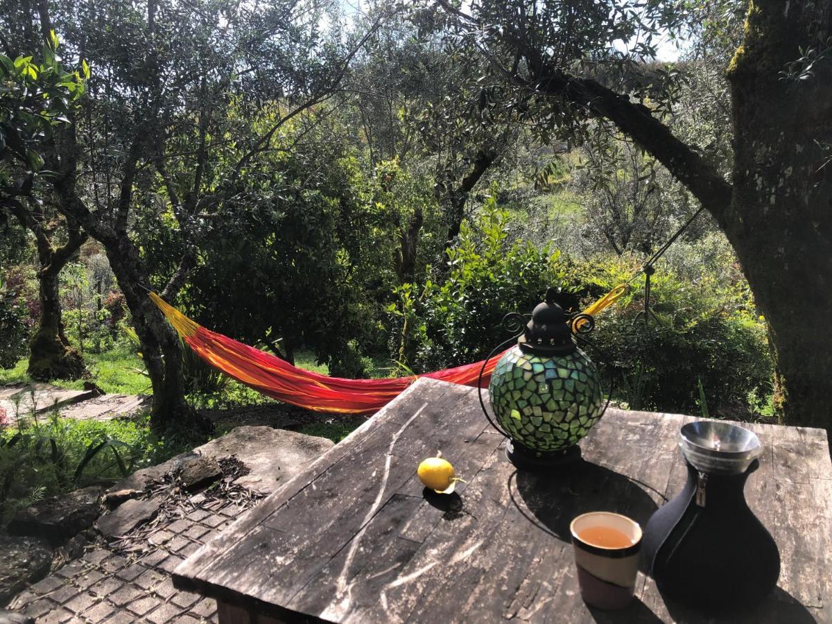 House Of The Three Marias Bed and Breakfast Pedrogao Grande Εξωτερικό φωτογραφία