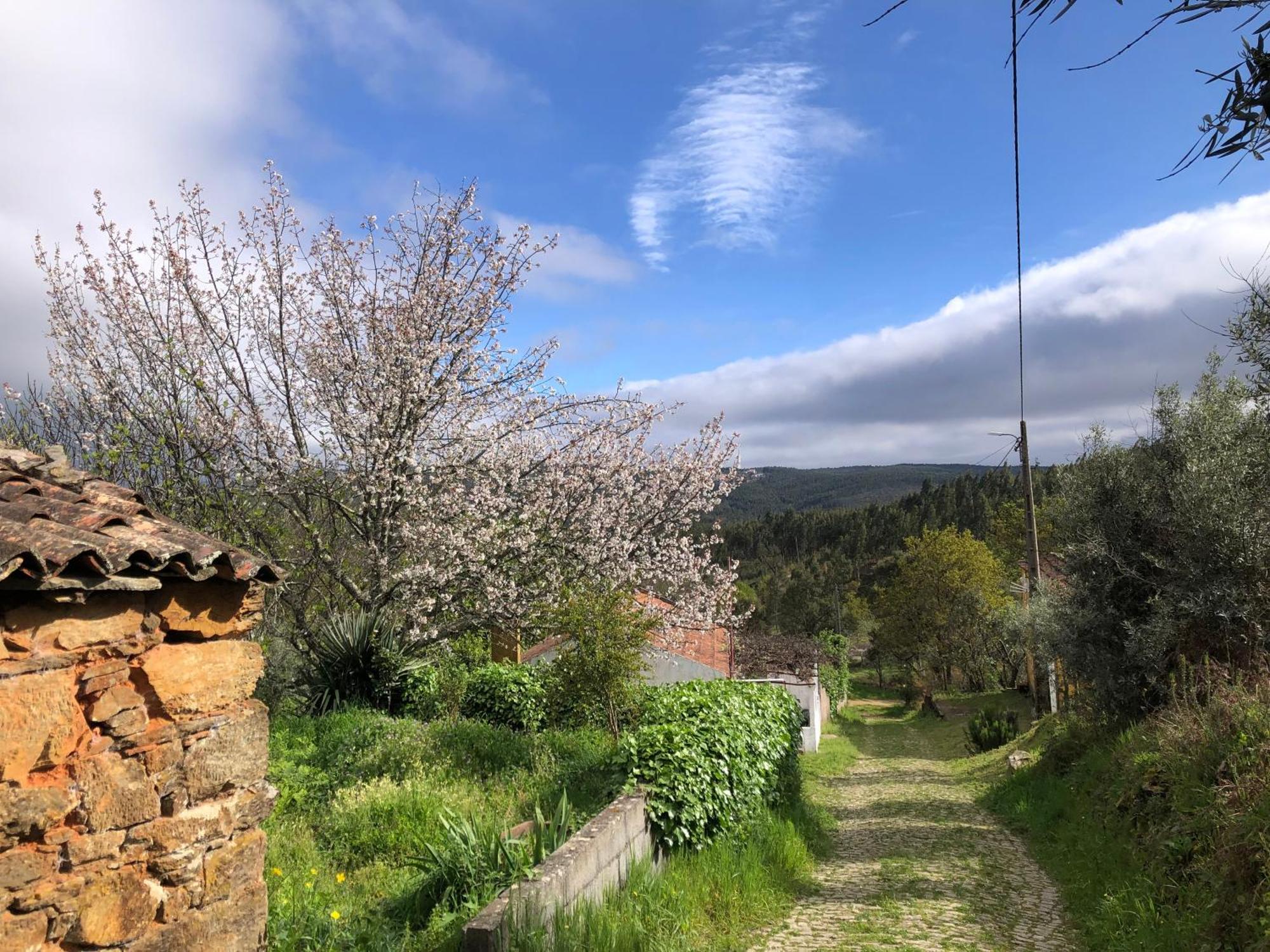House Of The Three Marias Bed and Breakfast Pedrogao Grande Εξωτερικό φωτογραφία