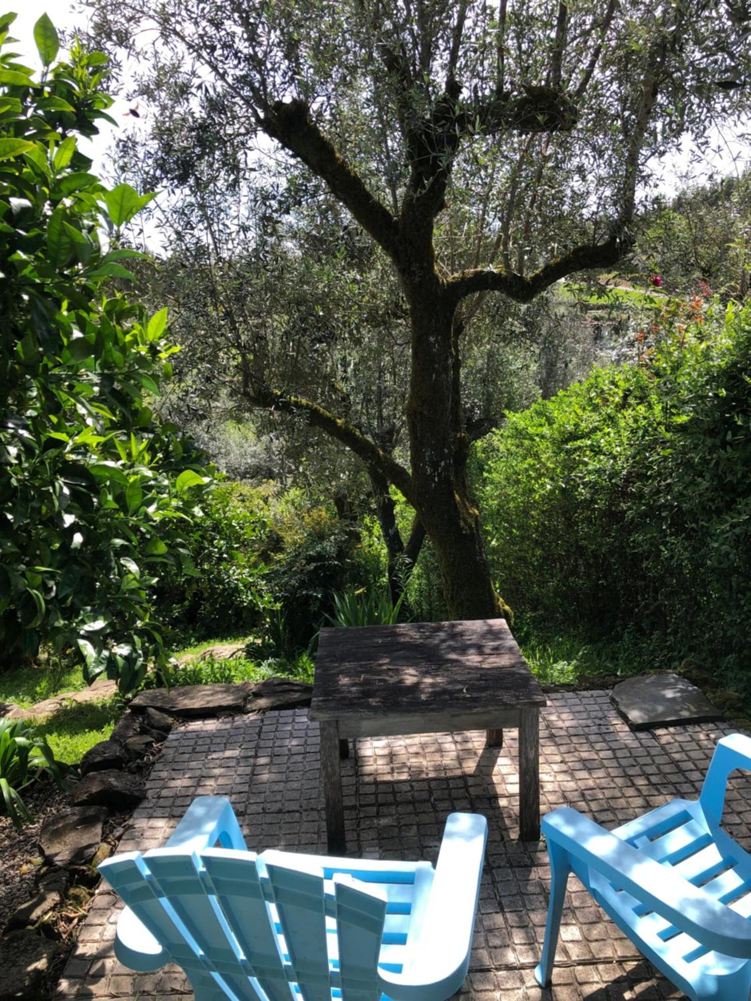 House Of The Three Marias Bed and Breakfast Pedrogao Grande Εξωτερικό φωτογραφία