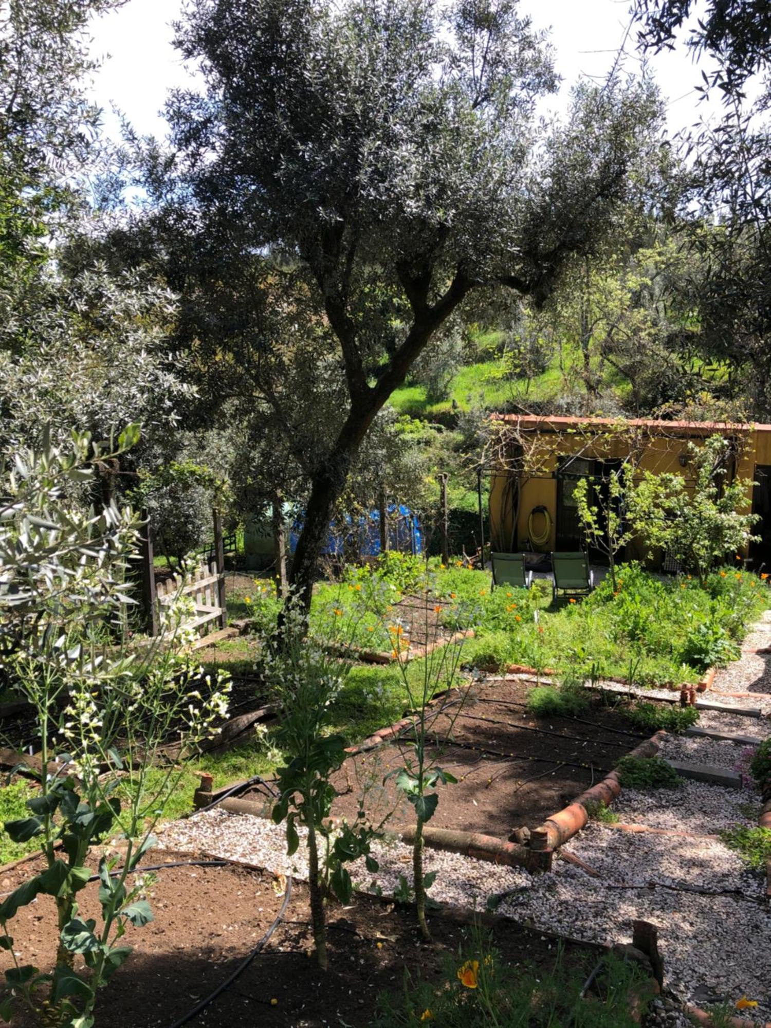 House Of The Three Marias Bed and Breakfast Pedrogao Grande Εξωτερικό φωτογραφία